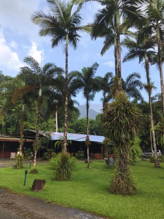 Daintree Siesta Villa Diwan Eksteriør bilde