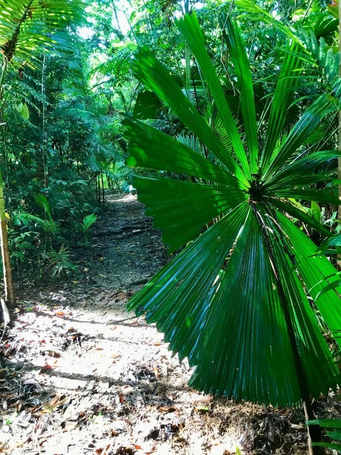 Daintree Siesta Villa Diwan Eksteriør bilde